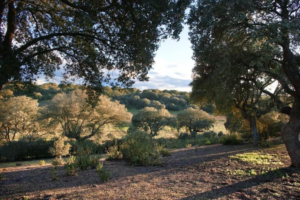 Manganeses de la Polvorosa Casa Rural Finca Requejo Cerca De Benavente Tr 49426 מראה חיצוני תמונה
