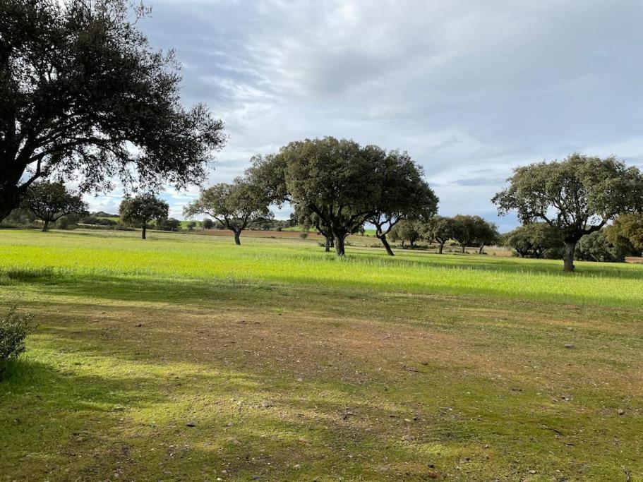 Manganeses de la Polvorosa Casa Rural Finca Requejo Cerca De Benavente Tr 49426 מראה חיצוני תמונה