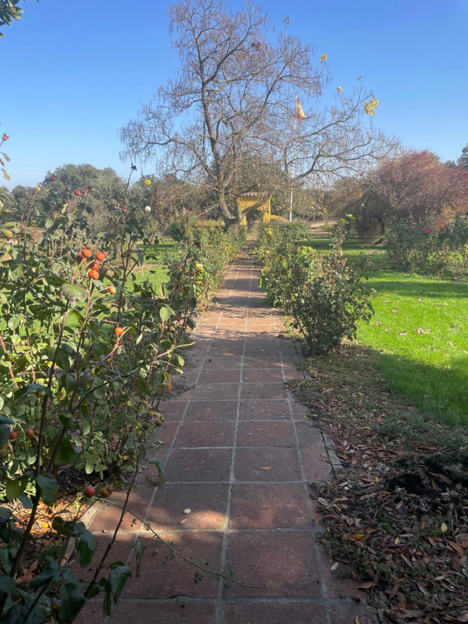 Manganeses de la Polvorosa Casa Rural Finca Requejo Cerca De Benavente Tr 49426 מראה חיצוני תמונה